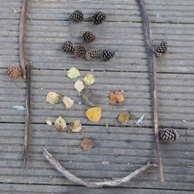 Getting to know the woodland